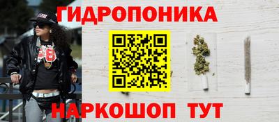 прущие грибы Ачхой-Мартан