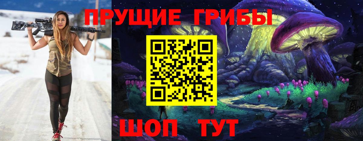 Псилоцибиновые грибы Psilocybe  Вход с VPN  Красногорск 